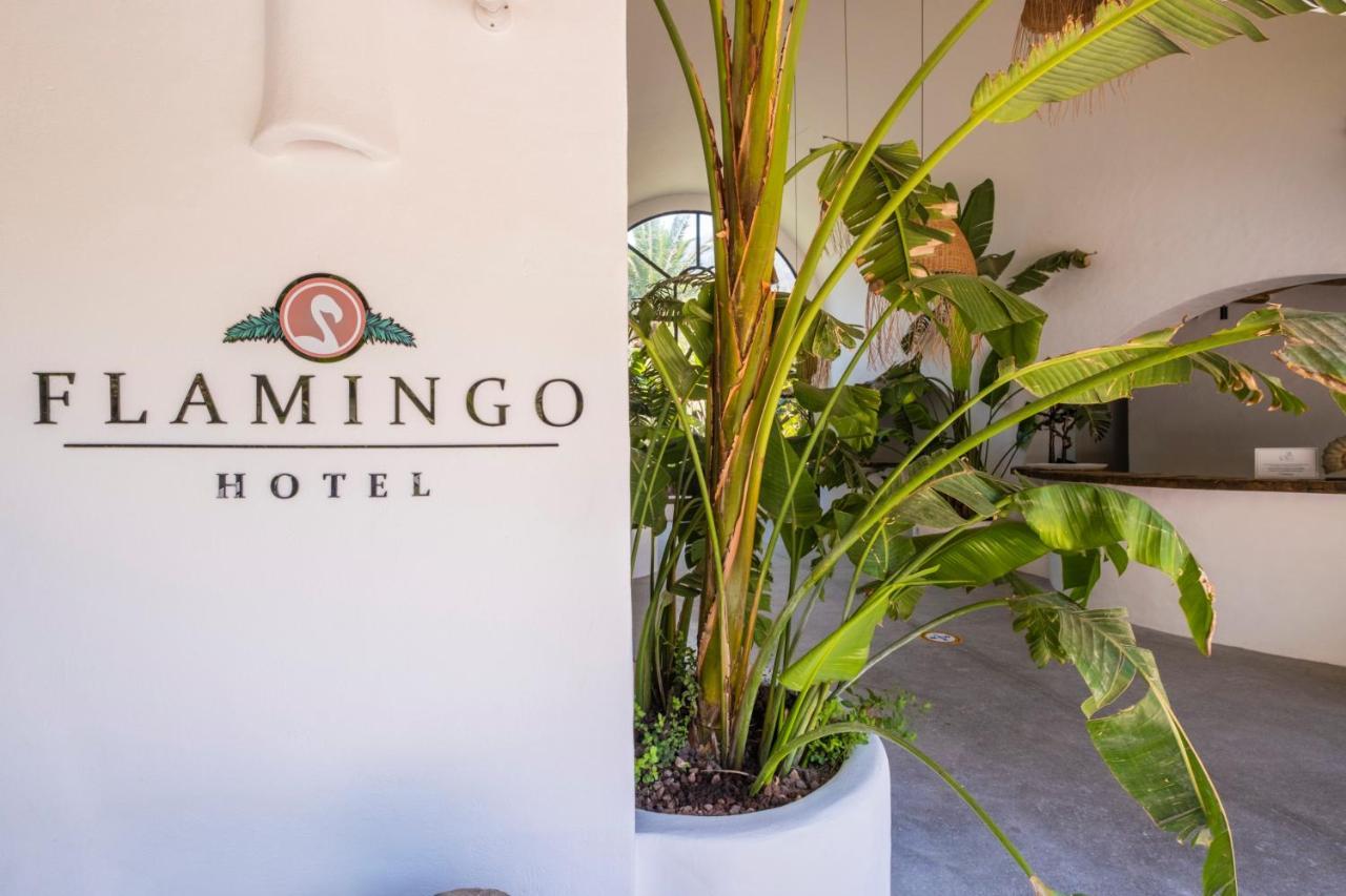 Flamingo Hotel&Spa - Pet Friendly Ölüdeniz Exterior foto